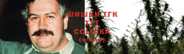 mdpv Горняк
