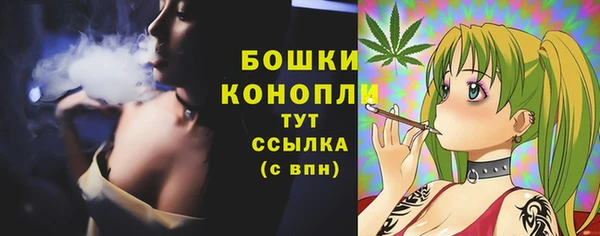 2c-b Гусиноозёрск