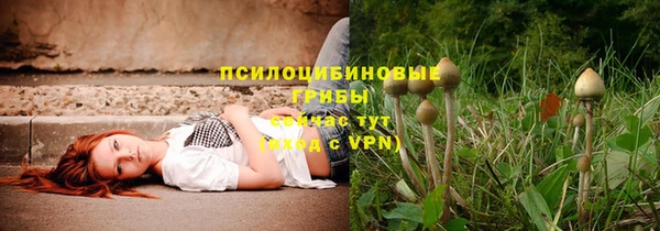 mdpv Горняк